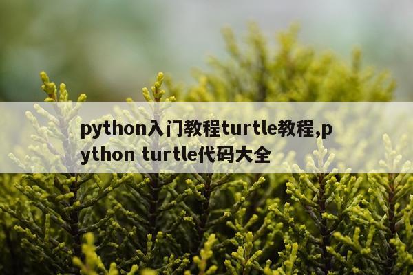 python入门教程turtle教程,python turtle代码大全