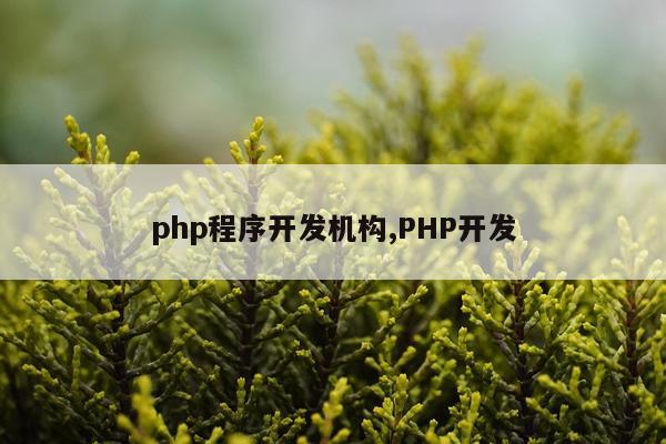 php程序开发机构,PHP开发