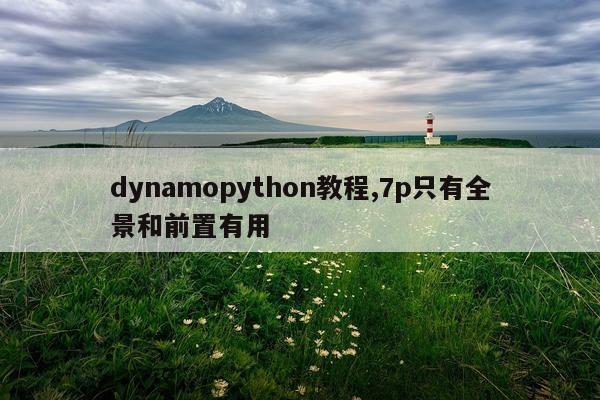 dynamopython教程,7p只有全景和前置有用