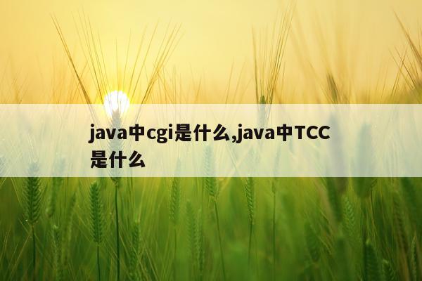 java中cgi是什么,java中TCC是什么