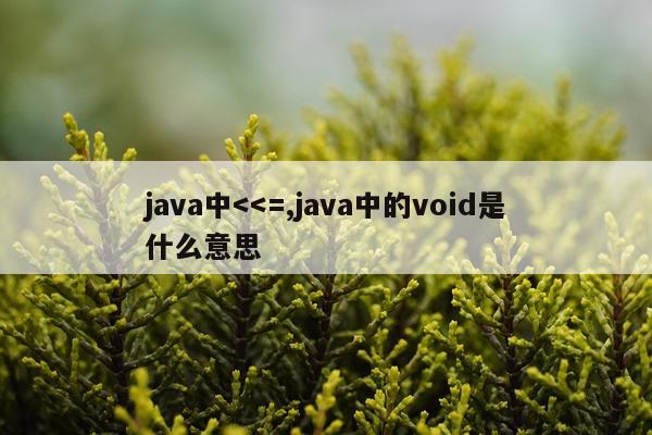 java中