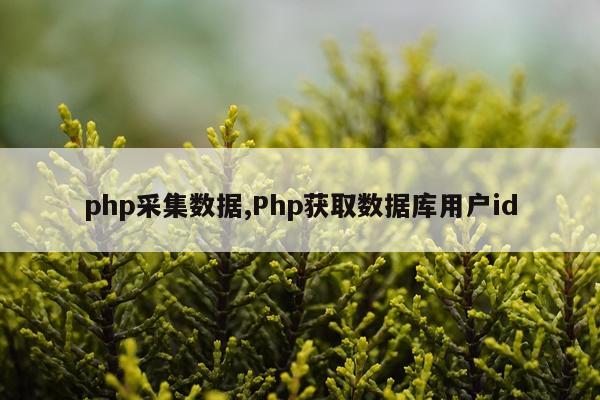 php采集数据,Php获取数据库用户id