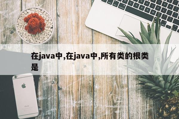 在java中,在java中,所有类的根类是