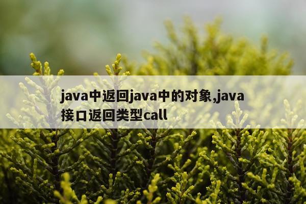 java中返回java中的对象,java接口返回类型call