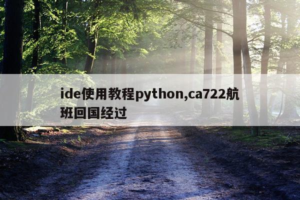 ide使用教程python,ca722航班回国经过