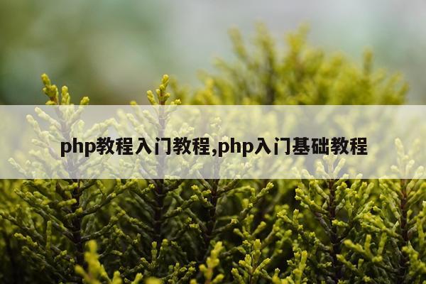 php教程入门教程,php入门基础教程
