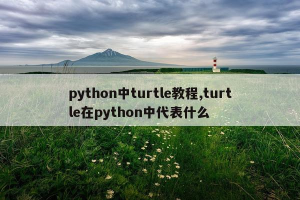 python中turtle教程,turtle在python中代表什么