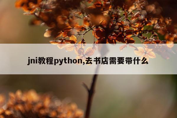 jni教程python,去书店需要带什么