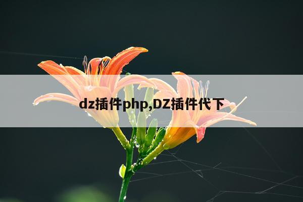 dz插件php,DZ插件代下