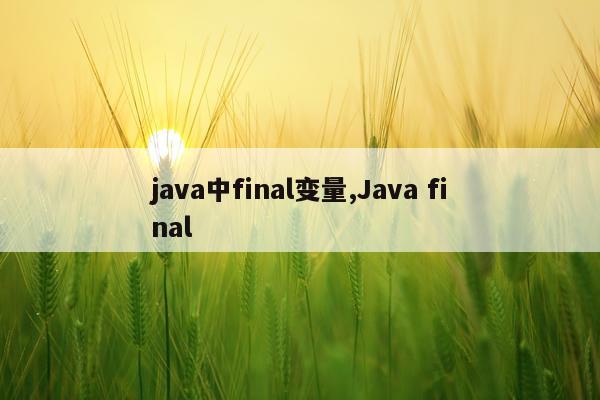 java中final变量,Java final