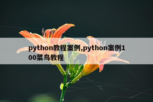 python教程案例,python案例100菜鸟教程