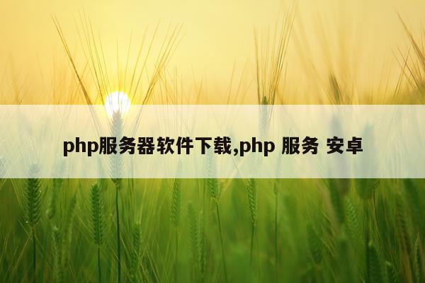 php服务器软件下载,php 服务 安卓
