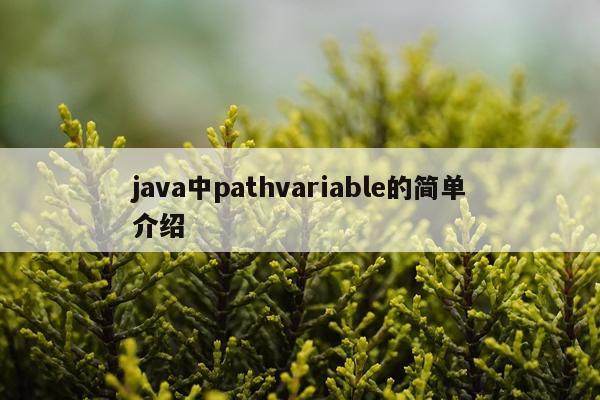 java中pathvariable的简单介绍
