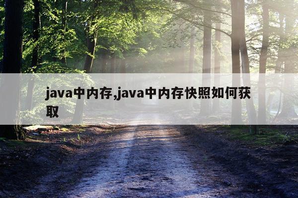 java中内存,java中内存快照如何获取