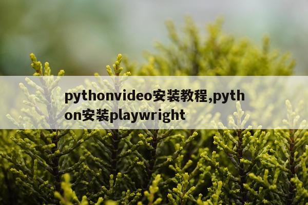 pythonvideo安装教程,python安装playwright