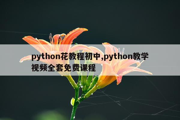 python花教程初中,python教学视频全套免费课程