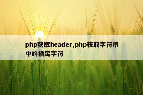 php获取header,php获取字符串中的指定字符