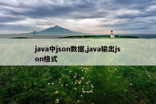 java中json数据,java输出json格式