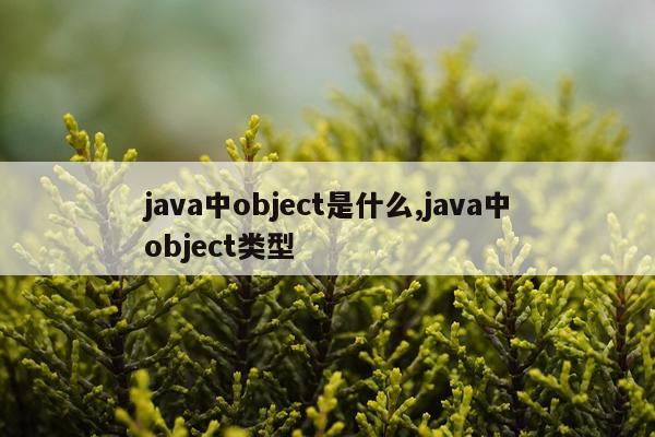java中object是什么,java中object类型