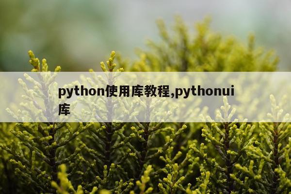 python使用库教程,pythonui库