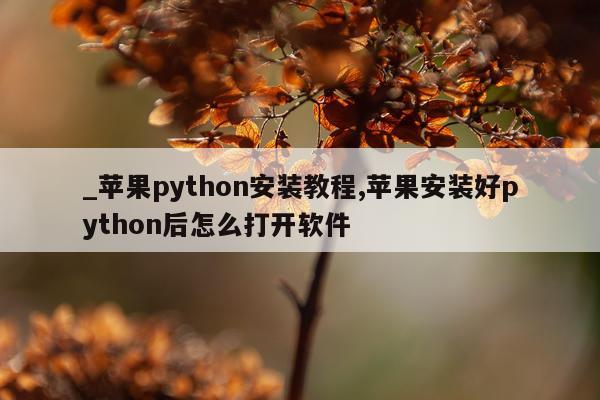 _苹果python安装教程,苹果安装好python后怎么打开软件