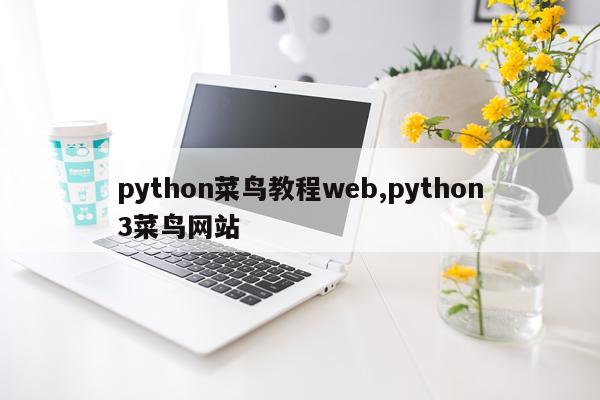 python菜鸟教程web,python3菜鸟网站