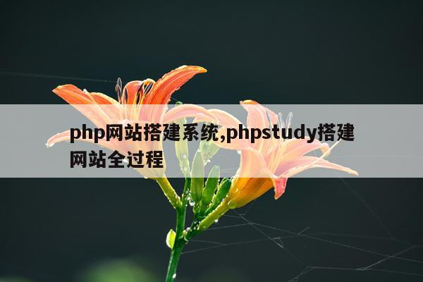 php网站搭建系统,phpstudy搭建网站全过程