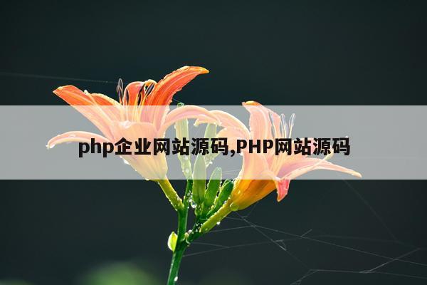 php企业网站源码,PHP网站源码