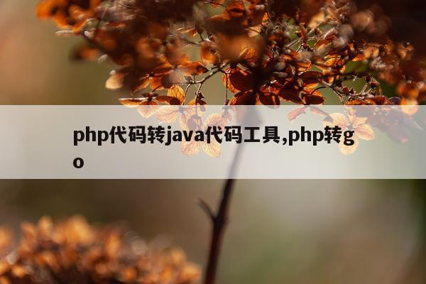 php代码转java代码工具,php转go