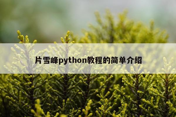 片雪峰python教程的简单介绍