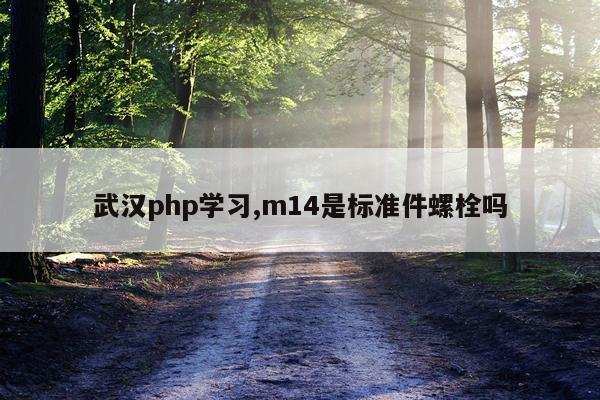 武汉php学习,m14是标准件螺栓吗
