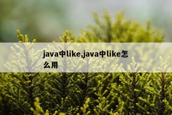 java中like,java中like怎么用