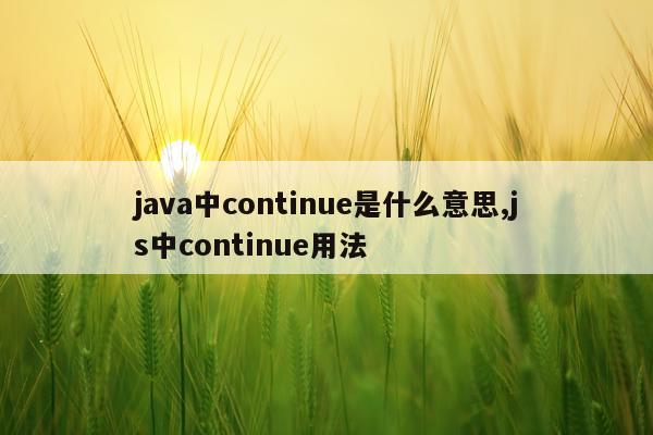 java中continue是什么意思,js中continue用法