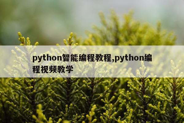 python智能编程教程,python编程视频教学