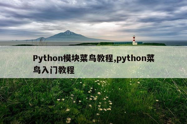 Python模块菜鸟教程,python菜鸟入门教程