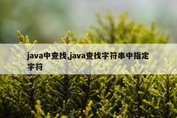java中查找,java查找字符串中指定字符