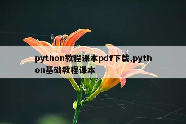 python教程课本pdf下载,python基础教程课本
