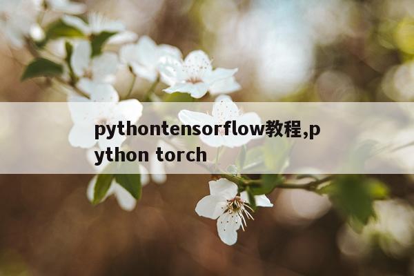 pythontensorflow教程,python torch