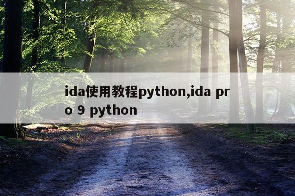 ida使用教程python,ida pro 9 python
