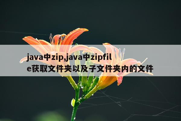 java中zip,java中zipfile获取文件夹以及子文件夹内的文件