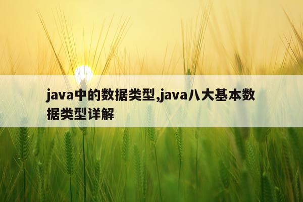 java中的数据类型,java八大基本数据类型详解