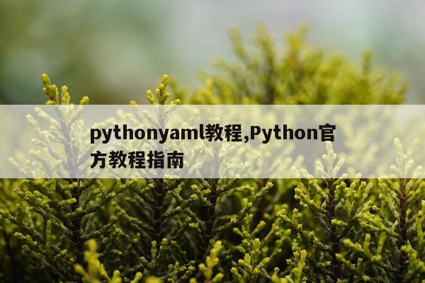 pythonyaml教程,Python官方教程指南