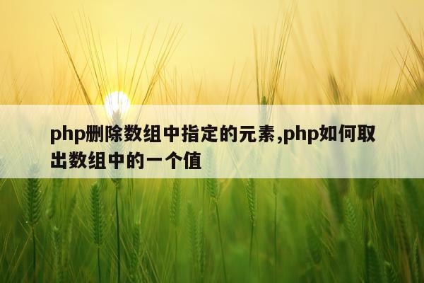 php删除数组中指定的元素,php如何取出数组中的一个值