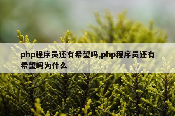 php程序员还有希望吗,php程序员还有希望吗为什么