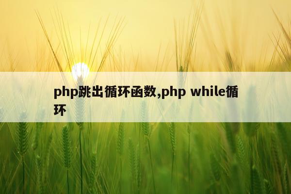 php跳出循环函数,php while循环
