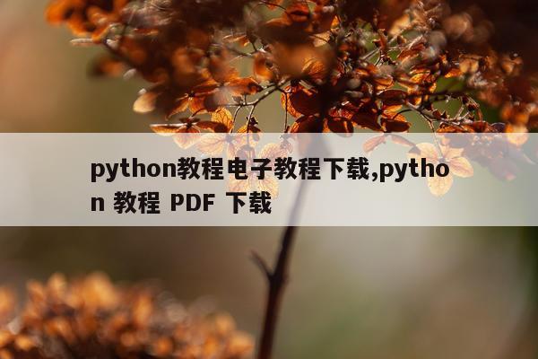 python教程电子教程下载,python 教程 PDF 下载