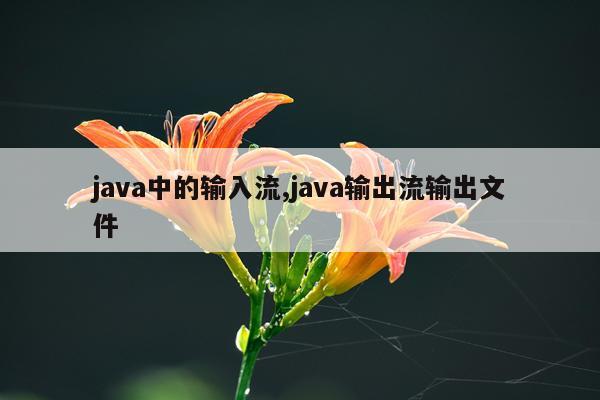 java中的输入流,java输出流输出文件