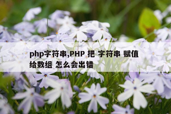 php字符串,PHP 把 字符串 赋值 给数组 怎么会出错