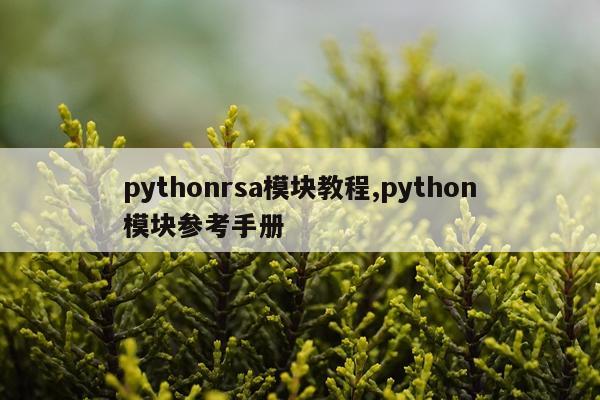pythonrsa模块教程,python模块参考手册