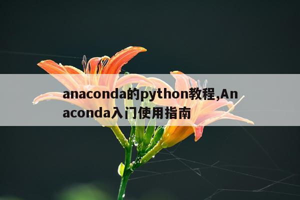 anaconda的python教程,Anaconda入门使用指南